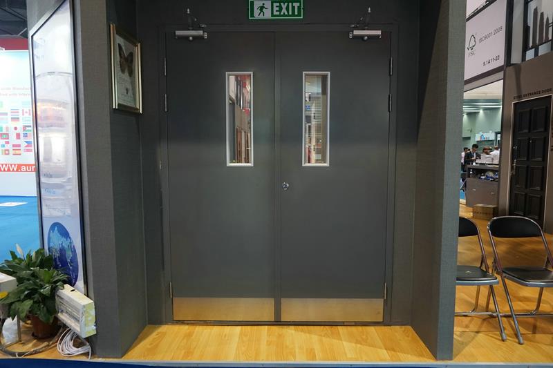 Steel door  (11)
